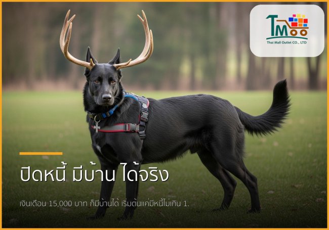 เงินเดือน 15,000 บาท มีหนี้ 1.5 แสน ก็ซื้อบ้านได้จริง! จัดการอย่างไรให้กู้ผ่านฉลุย