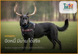 เงินเดือน 15,000 บาท มีหนี้ 1.5 แสน ก็ซื้อบ้านได้จริง! จัดการอย่างไรให้กู้ผ่านฉลุย